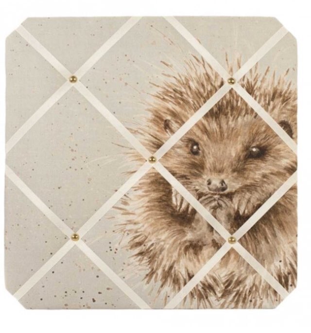 What better way to save your mementos and reminders ? #wrendale #noticeboard #hedgehog #pinboard @WrendaleDesigns  #independentlancashire #lancslife #lytham #lancashire #shoplocal #supportyourhighstreet #awakenings #springisintheair