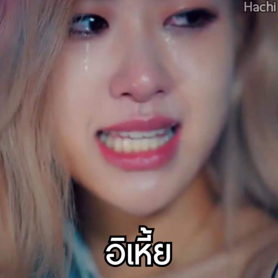 กรุส่วย tweet media