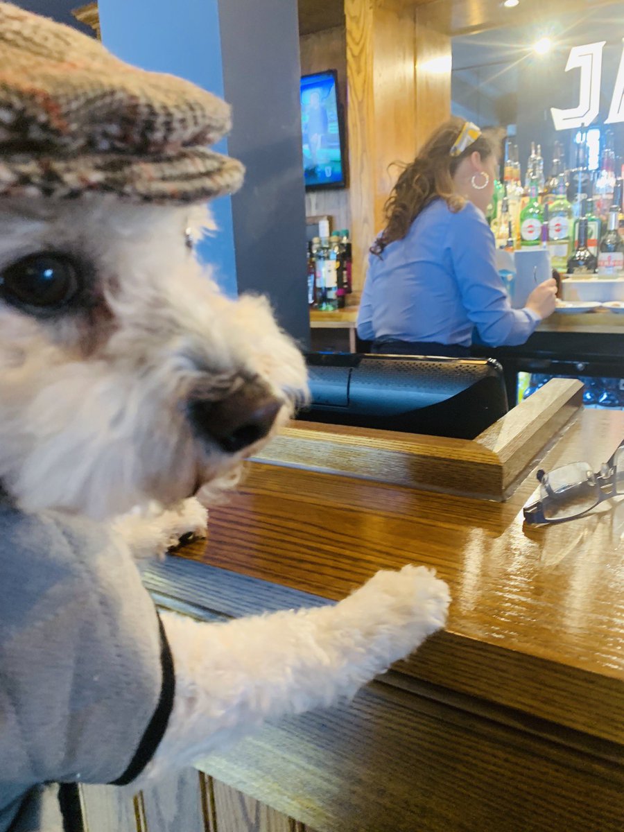 danieldaviesRPL's tweet photo. Our Rockpoint Leisure Director of Cuddles @ItsArchieD6 is at the JA having a 🍺 @punchpubs @pupaid @marcthevet @Lucy_Cavalier @SarahCloverBar #Dog #Dogs #Pub #Tavern #dogsoftwitter #DogsofTwittter @RSPCA_official @GDlpool @B_K_W @MattParti @guidedogs https://t.co/PdzYG3GQsG