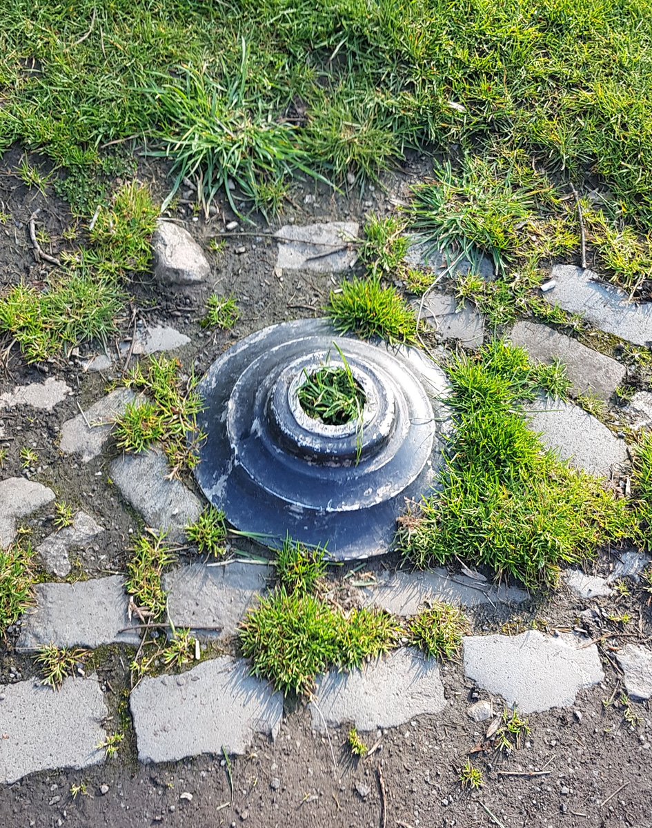 MeanwhileDa's tweet image. Another informative sign in the @phoenixparkopw.....