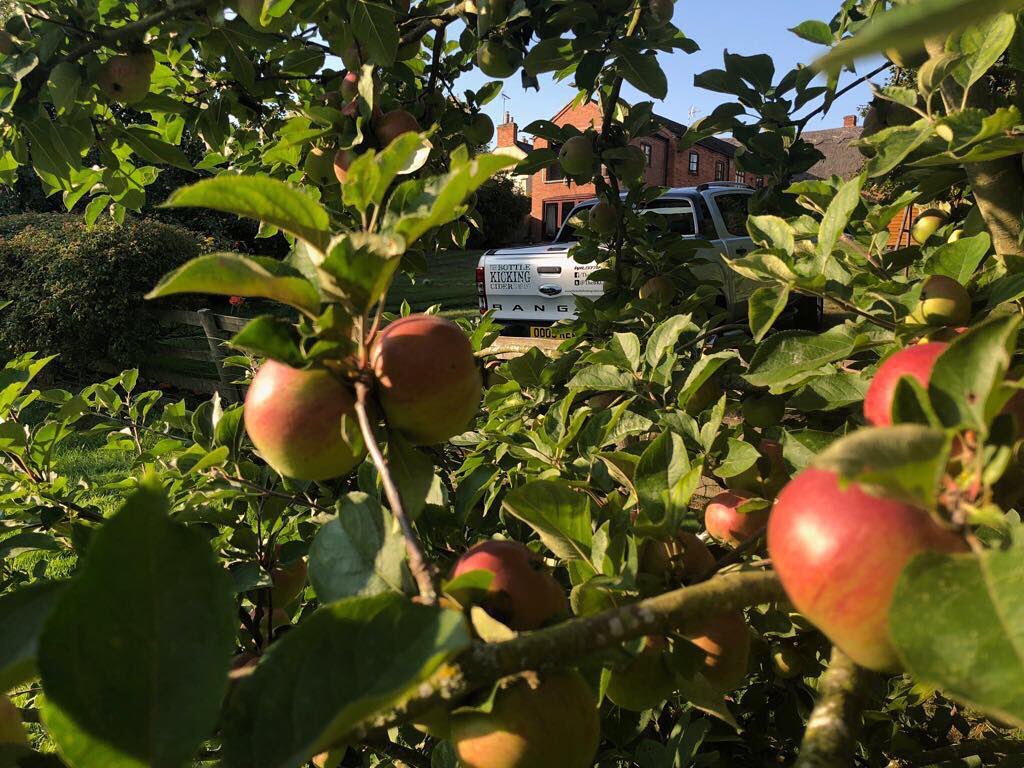 🍏🍎 #Cider #Orchard #BottleKickingCider
