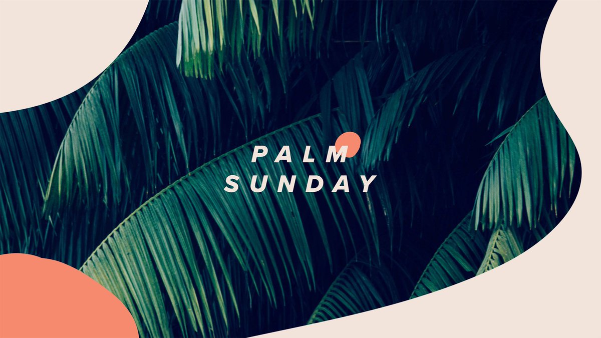 WillowCreekCC's tweet photo. They took palm branches and went out to meet him, shouting, “Hosanna!” “Blessed is he who comes in the name of the Lord!” “Blessed is the king of Israel!” – John 12:13
Happy Palm Sunday! #WillowCreekCC #WillowEaster https://t.co/1aYVYr3Jkx