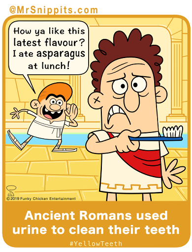 MrSnippits's tweet photo. Before the invention of #toothpaste or cleaning detergents, the Romans used pee to clean their clothes, teeth…and as MOUTHWASH.  Urine contains the chemical AMMONIA and it is the best naturally occurring #cleaning agent. https://t.co/IZu57SFw7p