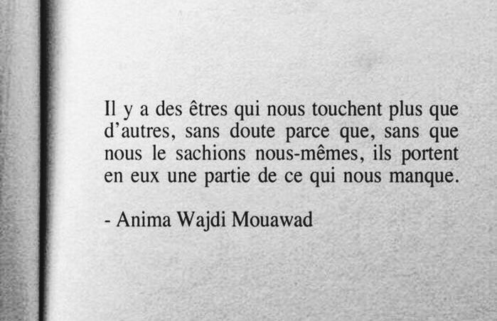 tània banús tweet media