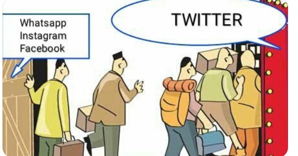 veraverto tweet media