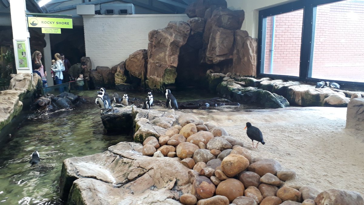 TuriSportTour19's tweet photo. #TeamTuri final morning in Cape Town has been spent at the Two Oceans Aquarium, followed by some lunch time entertainment at the waterfront before we depart back to Nairobi this evening https://t.co/hQnRtyXSrP