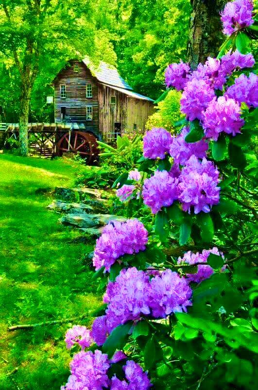 LoreleiEllen's tweet image. #HelloMorning 

“The most fortunate are those who have a wonderful capacity to appreciate again and again, freshly and naively, the basic goods of life, with awe, pleasure, wonder and even ecstasy.” 

― Abraham Maslow

🙏🏻🌻🌞

#MaslowsHierarchyOfNeeds
#SelfActualization