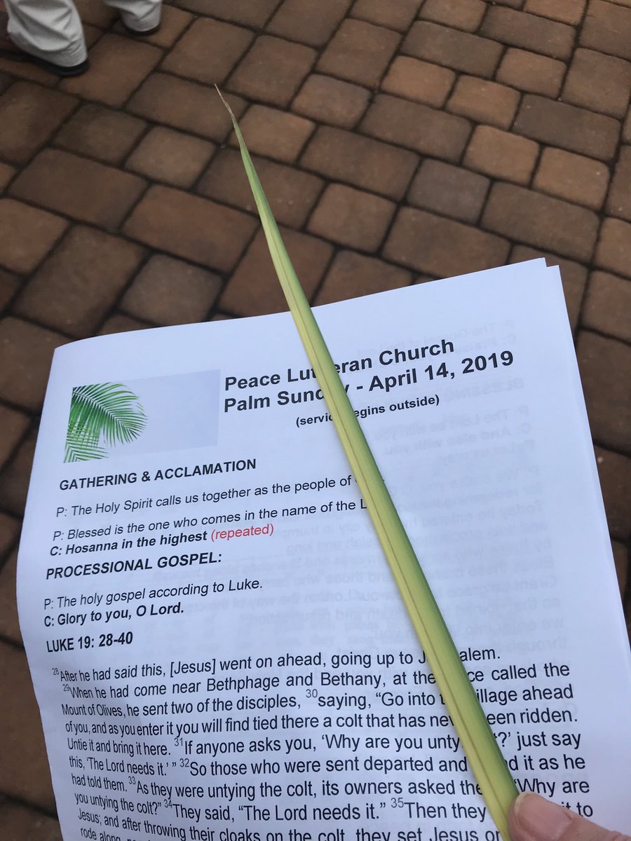 plcwaldorf's tweet photo. Palm Sunday. Hosanna in the highest. https://t.co/EssvmUpytn