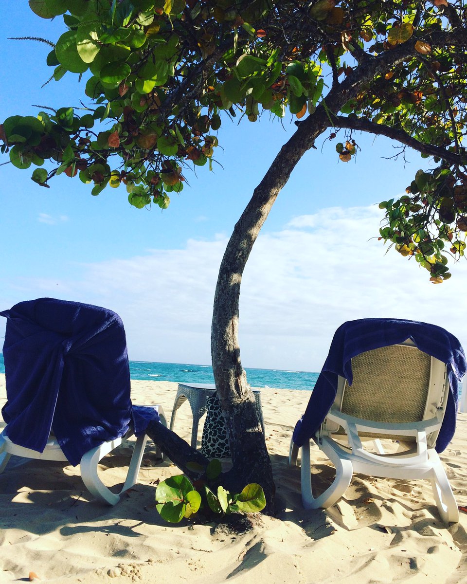 Monique Parren tweet media