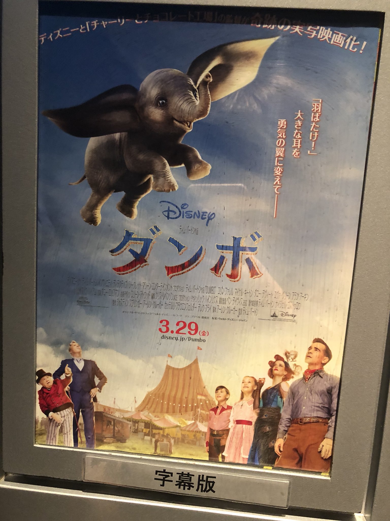 ダンボ Dummmmmbo Twitter