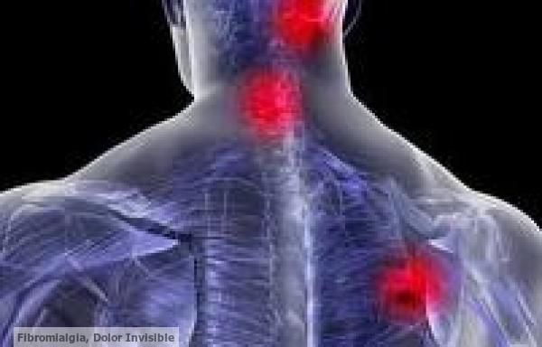Contracciones Musculares, 
Un Síntoma Raro y Complejo Que 
Aparece Con la Fibromialgia. 
Qué Podemos Hacer? 
Cómo Aliviarlos?
👇👇👇
bit.ly/2RCiVE4