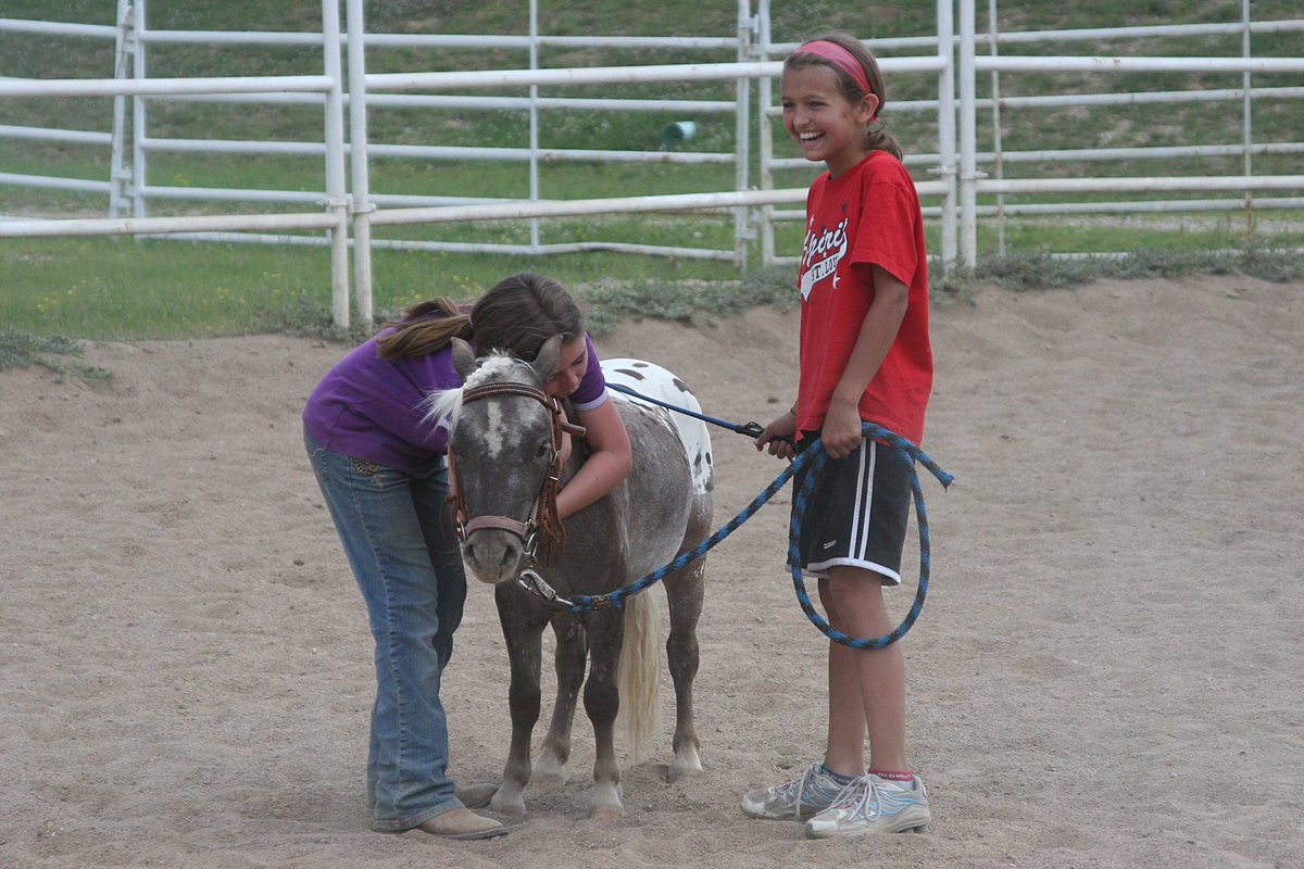 KrausInc's tweet photo. There is still time to sign up for Mini Buckaroo Camp!  Call our office to reserve your spot!  636-225-9513  #miniatures   #Horses  #summer https://t.co/zrwzTszL6J