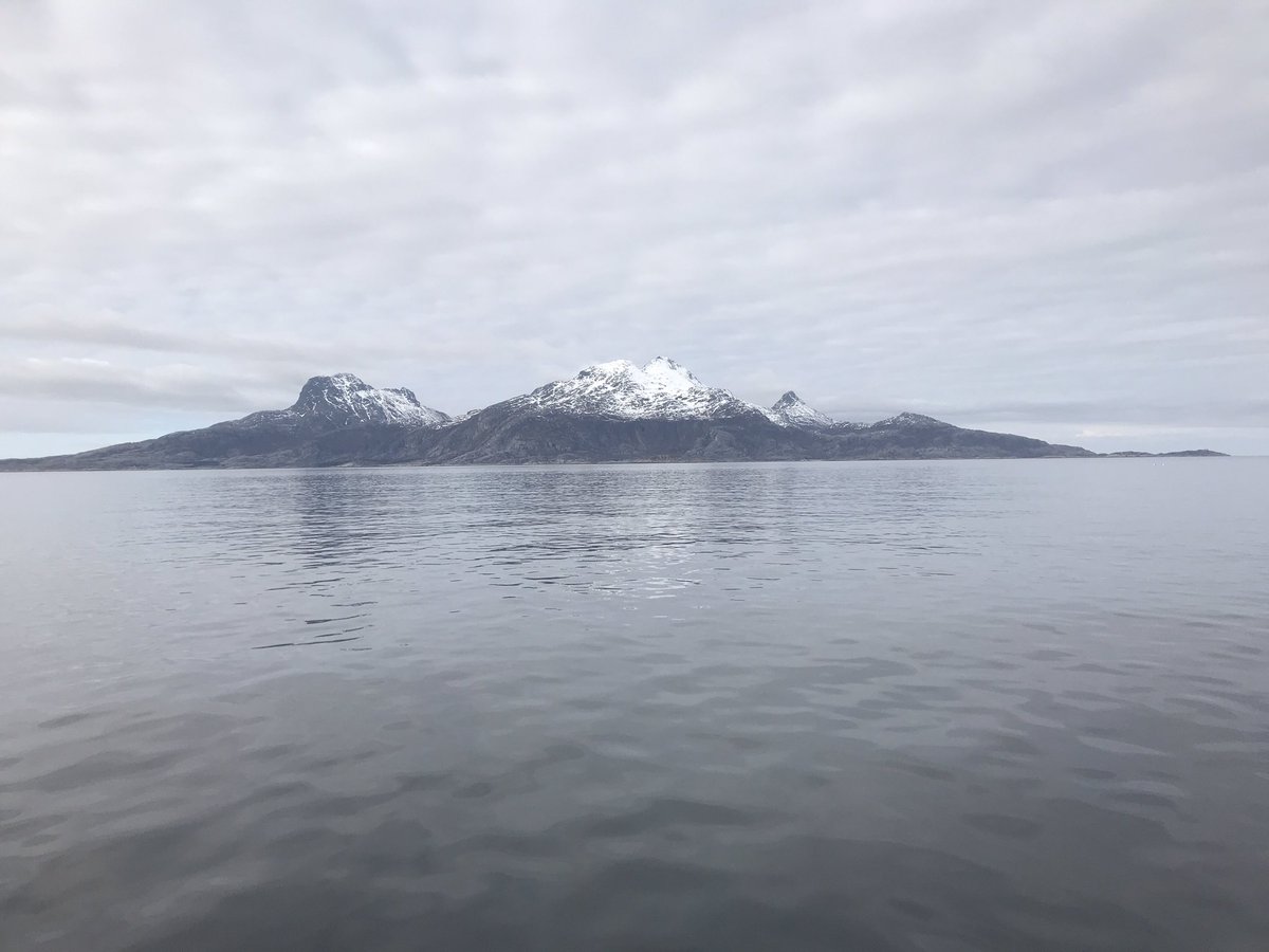VigleikM's tweet photo. Litt overskyet, men hva gjør dét når det er flatt hav, og nisene lager koselyder rett ved båten? #bodø #landegode https://t.co/9ppnaCboip