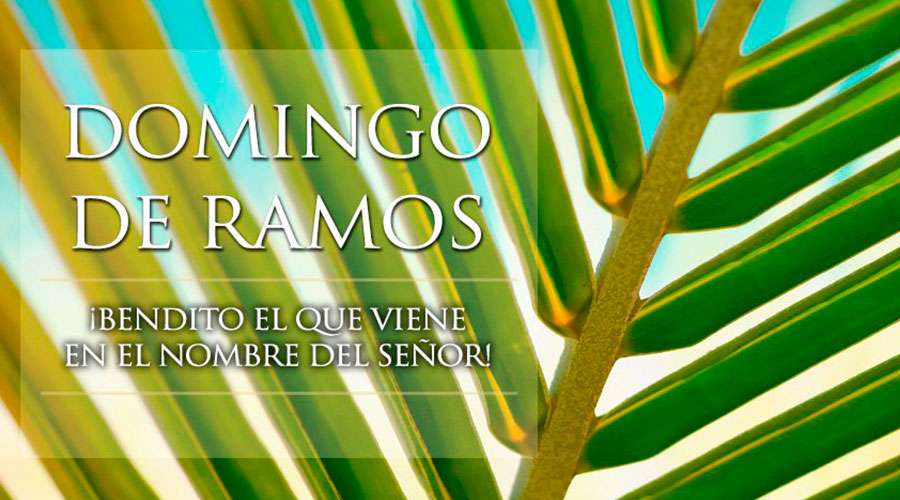 SkyFm953's tweet photo. El Domingo de Ramos  conmemora la entrada de Jesucristo en Jerusalén, dando inicio a la Semana Santa https://t.co/6xQwEexXAY