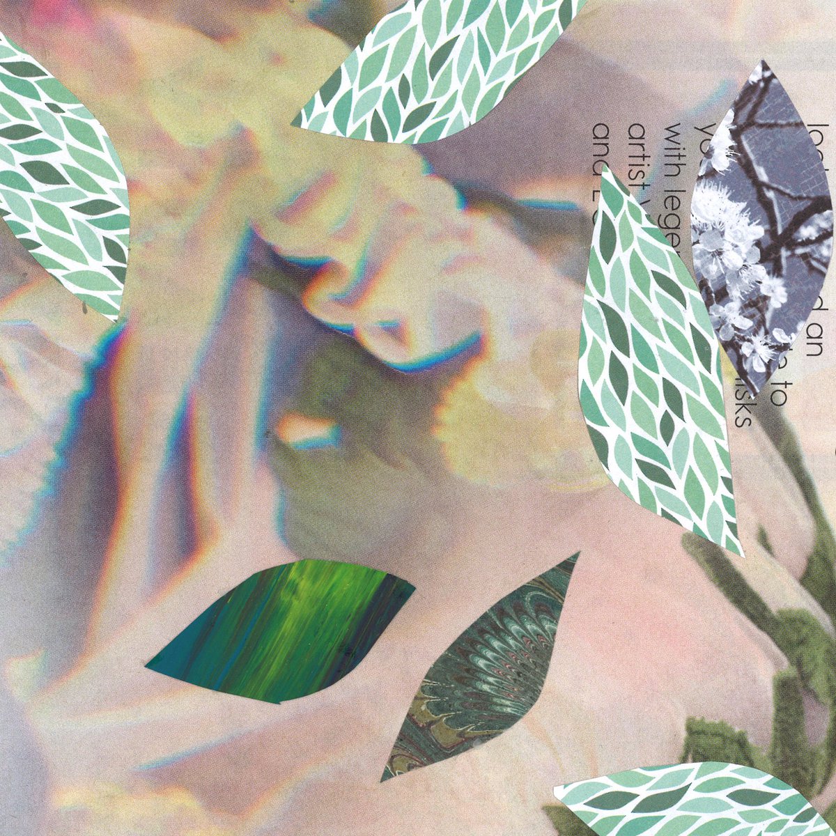 CollageCrew's tweet photo. Collage Crew is taking a break for April whilst @BethanThomas86 gears up for going full-time freelance! Watch this space for details of May’s session, the theme is Botanical. https://t.co/YHAoYJ0TI5