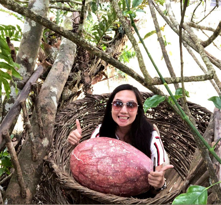 ohmydhen29's tweet photo. Ngaa daw baog ni ya ang itlog nga na tsambahan ko? ๐ Charrr.
#Sirao #littleAmsterdam #cebuadventure https://t.co/fcReImRzHX