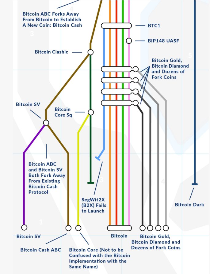 Vortex On Twitter A Great Infographic Of Bitcoin Forks Showing That Btc Is The Original Chain Of Course You D Only Need To Sync A Node To Find This Out But The Pretty Vortex On Twitter A Great Infographic Of Bitcoin Forks Showing That Btc Is The Original Chain Of Course You D Only Need To Sync A Node To Find This Out But The Pretty