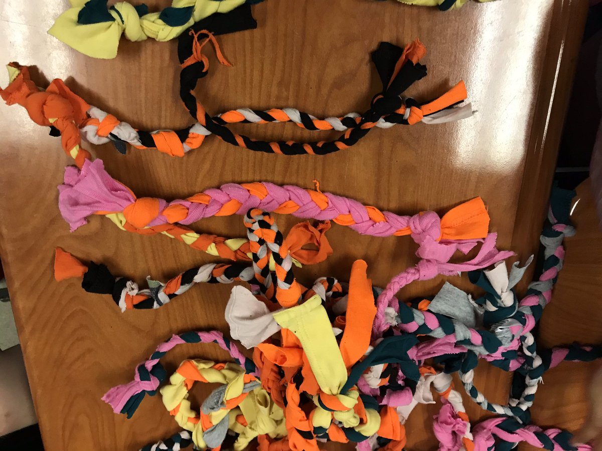 5th Graders in my STEM class made 35 dog toys out of old t-shirts as part of “Reducing the Human Footprint” @CLELeaders @japhillips0722 @AppoSchools #EarthDay2019 @STEMscopes