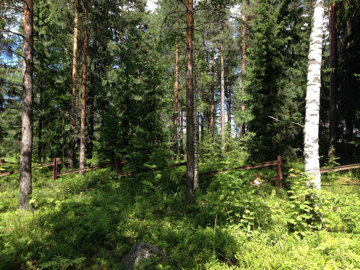 Finnish Famine Memorials tweet media