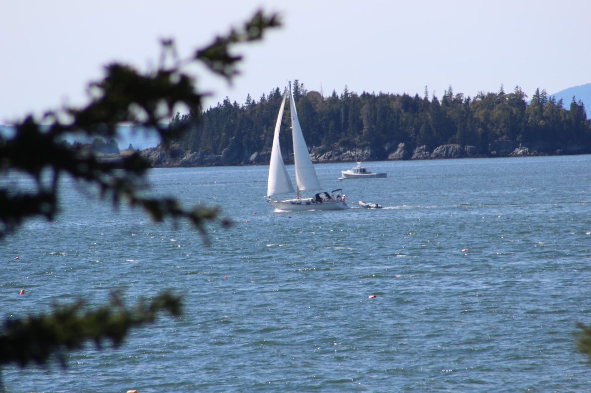 sheepehead's tweet photo. Sailing....It’s kind of our thing on #Sunday 🤗🥰 #sailing #VeryTandC #tlpicks #visitmaine #newengland https://t.co/MdpNbFxjJB