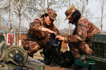 Bild auf Twitter anzeigen