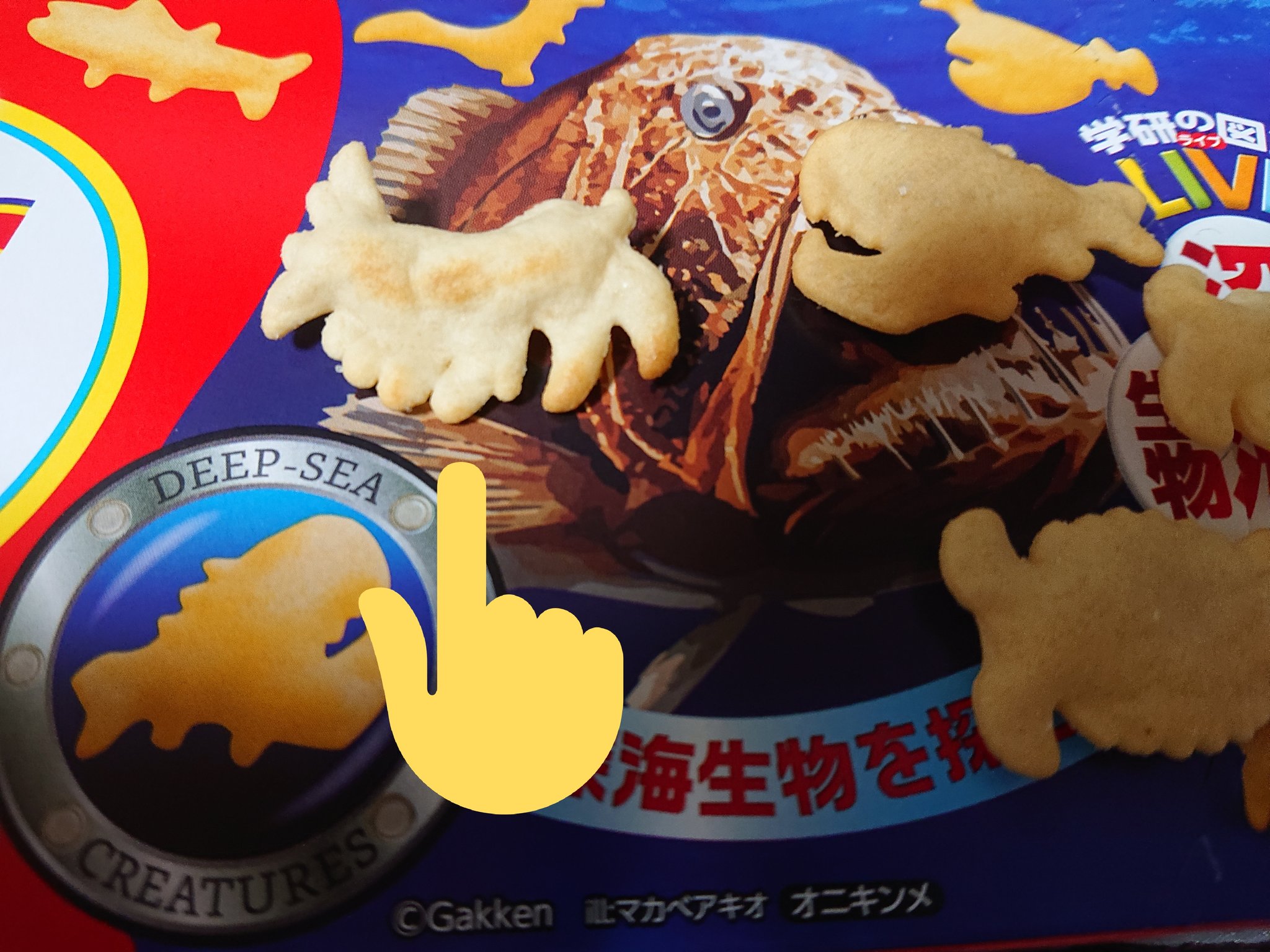 めぐたん 373 いま おっとっと 深海生物 食べたらデータに無いやつ出てきて焦った アノマリカリス っていうレアなやつみたい そしてちょっとグロい というわけでおやすみニャンシー 学研の図鑑live おっとっとレア おっとっとはノンフライで何