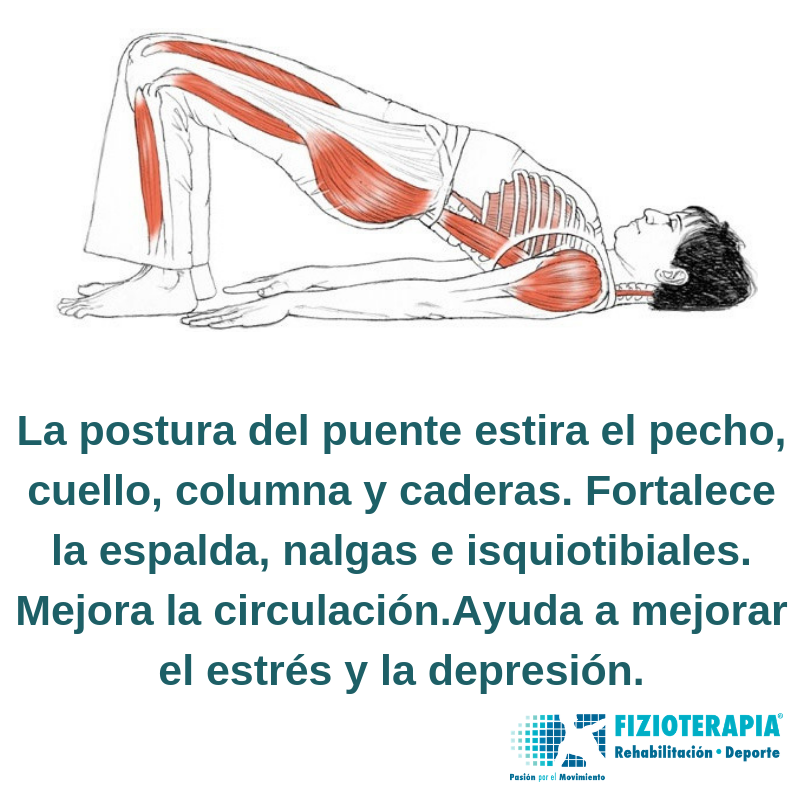 FizioRD's tweet photo. ¡Buenos días! https://t.co/P31BPB7yLX
