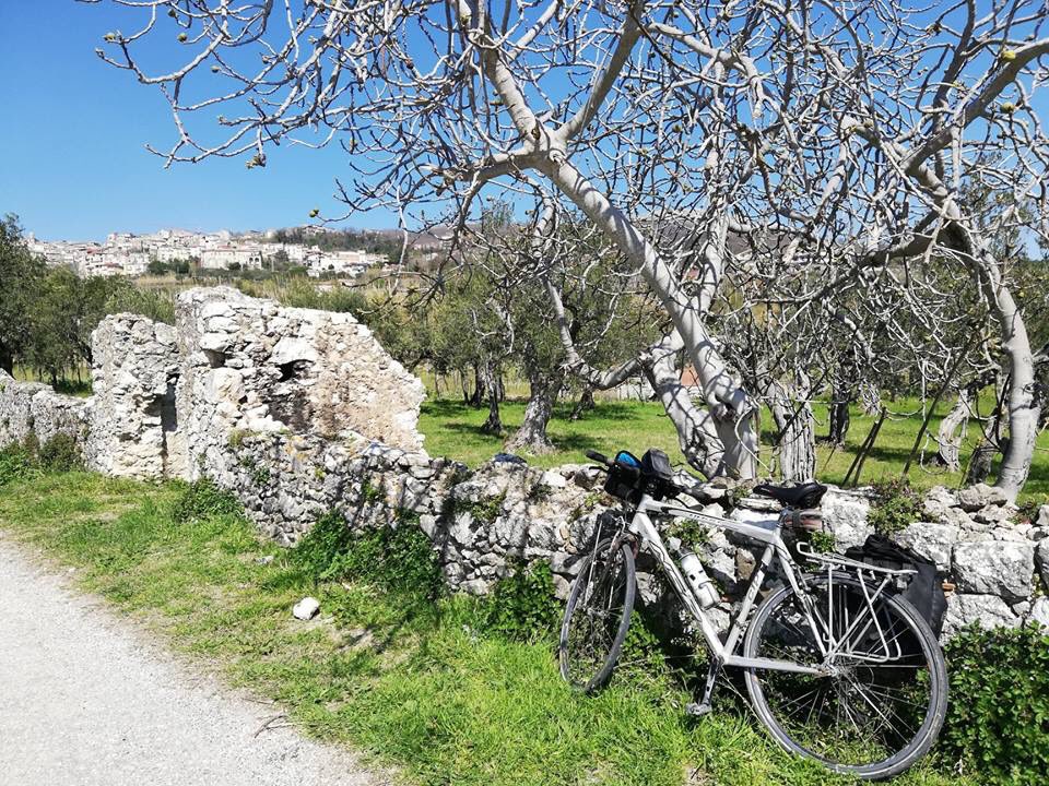 capritudine's tweet photo. 🚴‍♀️Pedalare nel #Sannio e scoprire vigneti, cantine, itinerari storici, borghi di #SannioFalanghina Città europea del Vino 2019.A #Telese inaugurazione della #CicloviadellaFalanghina e arrivo del treno storico da Napoli e Caserta.🚂@SannioAutentico @fsnews_it #EuropeanWineCity2019 https://t.co/GwR4QbNPze