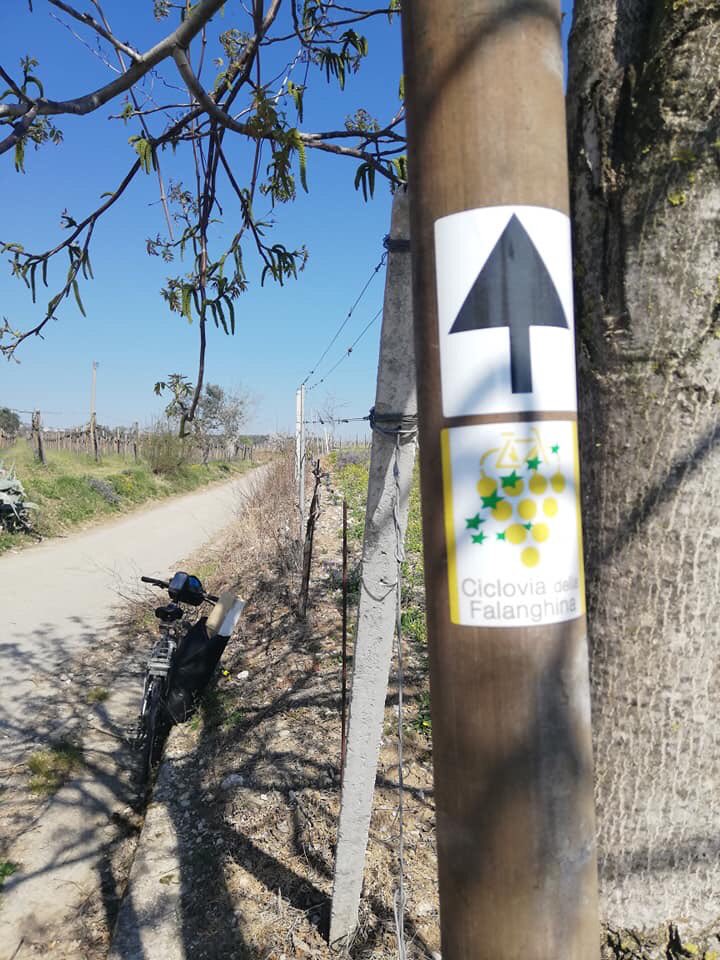 capritudine's tweet photo. 🚴‍♀️Pedalare nel #Sannio e scoprire vigneti, cantine, itinerari storici, borghi di #SannioFalanghina Città europea del Vino 2019.A #Telese inaugurazione della #CicloviadellaFalanghina e arrivo del treno storico da Napoli e Caserta.🚂@SannioAutentico @fsnews_it #EuropeanWineCity2019 https://t.co/GwR4QbNPze