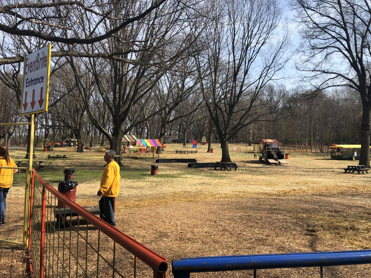 Amanda Kopf tweet media