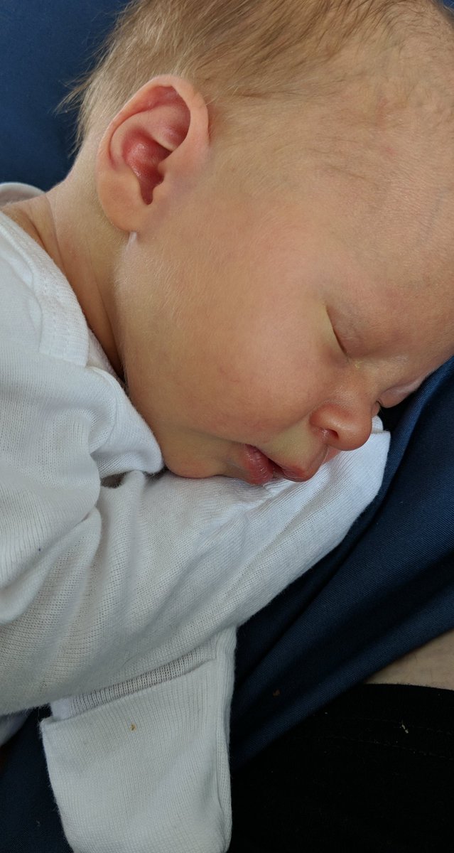 xavy_steg's tweet photo. On April 6, 2019, at 8:23 pm, Oliver Joseph Ray Stegman arrived weighing 7 lbs 1 oz and 19 inches long. After a week of keeping him private for some very important Mommy and Ollie time, I'm ready to show off my beautiful baby. I'm blessed to be your mommy, I love you.💙 https://t.co/KrYrAyRhdD