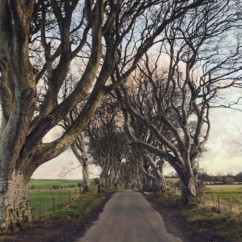 GREATBritain's tweet photo. #GameOfThrones fan? Discover the real world of Westeros in Northern Ireland: https://t.co/V7XPRcYtoF @VisitBritain @DiscoverNI #ForTheThrone #CreativityIsGREAT 📽️🇬🇧 https://t.co/rmosIQHcBa