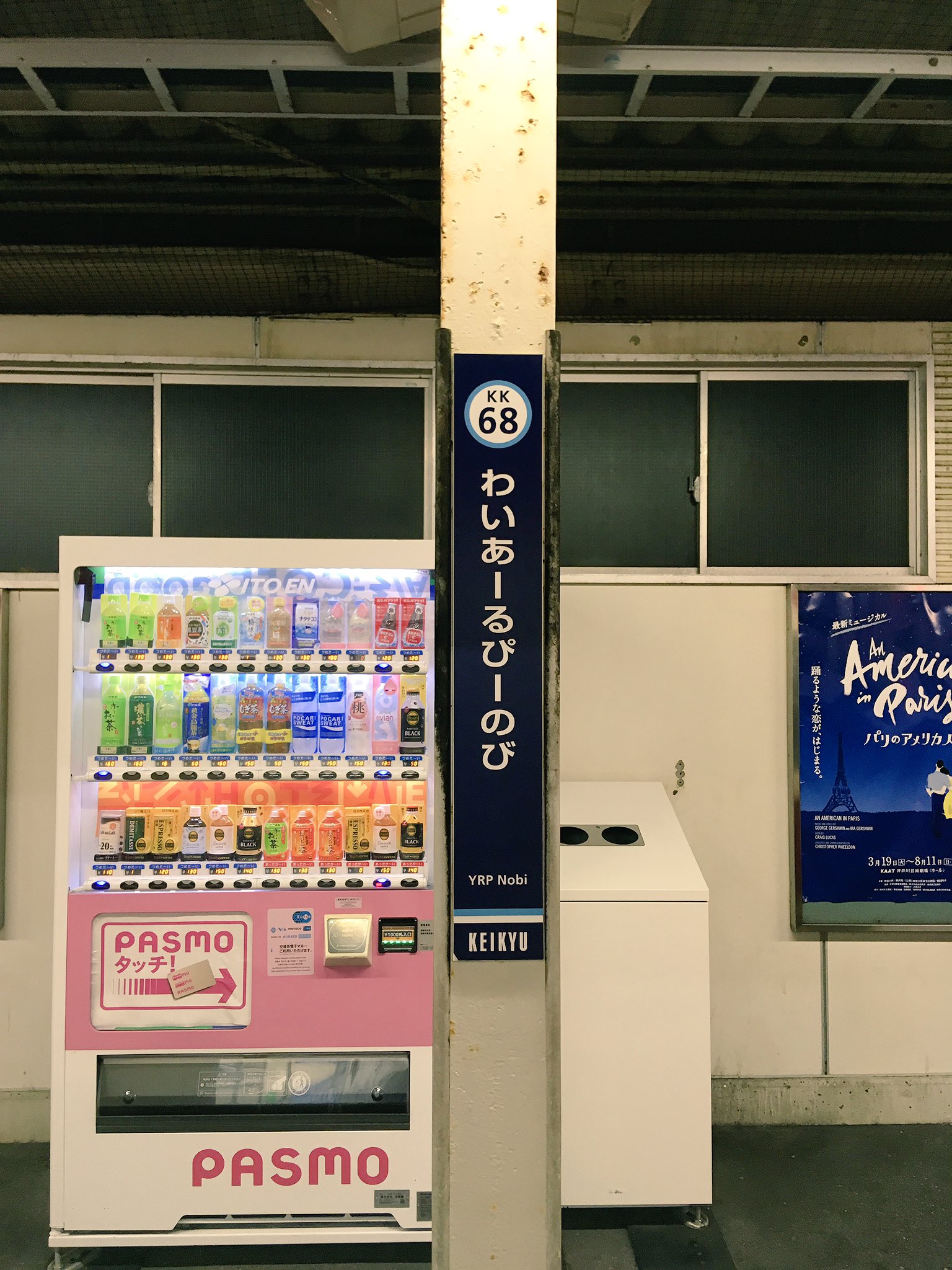 人気のファッショントレンド ロイヤリティフリーわい あーる ぴーの び