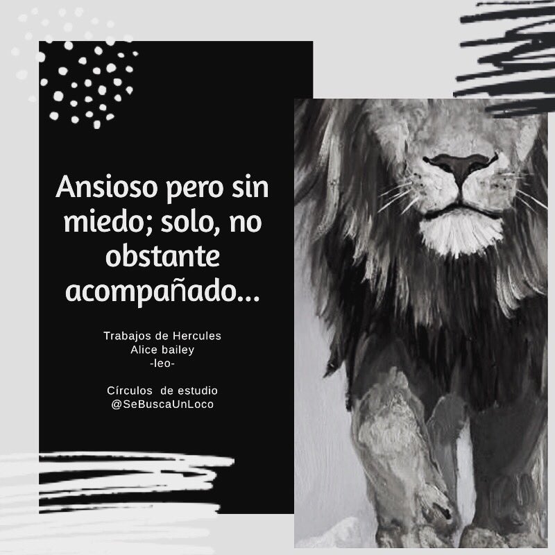 Arcanisimo's tweet photo. #FelizDomingo #Leosign #astrologia #energialeonina https://t.co/O7Herl6XM3