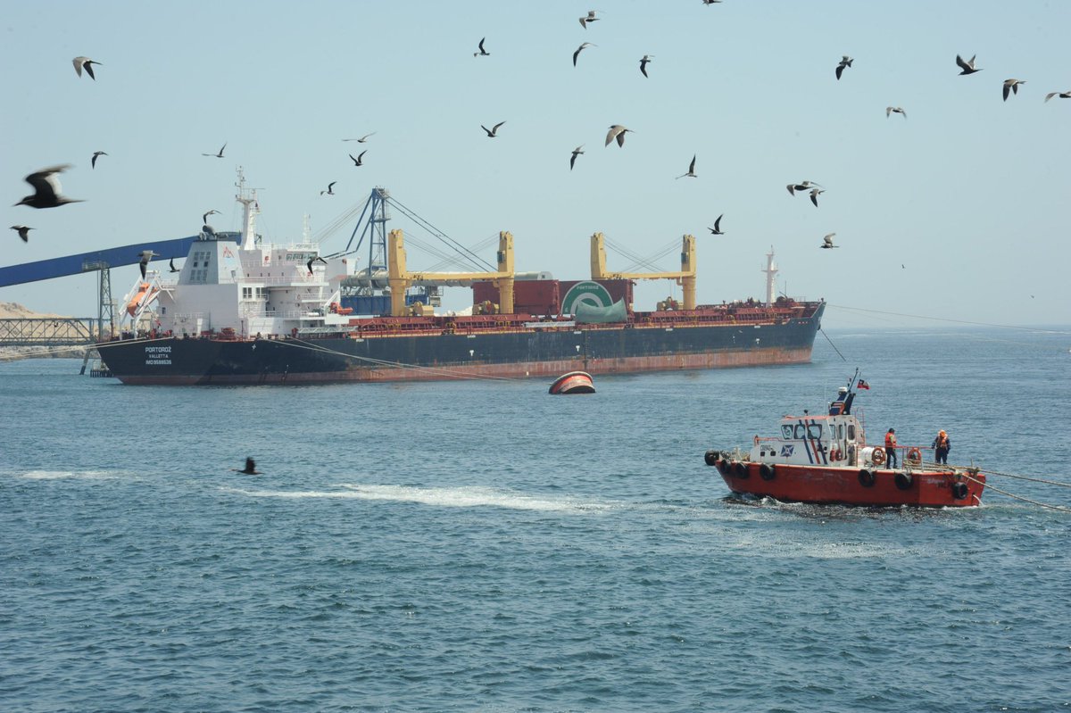 Revisa el  estado de los puertos para hoy #domingo reportado por las #AutoridadesMarítimas locales.

En este link 👇
meteoarmada.directemar.cl/site/estadopue…

#Directemar

<a href="/Armada_Chile/">Armada de Chile</a> @ELTIEMPOCHV <a href="/CEValparaiso/">Com.Emergencias.Valp</a> <a href="/Cp_Quintero/">CapuertoQuintero</a> <a href="/radio_festival/">Radio Festival</a> <a href="/puertosantonio/">San Antonio</a> <a href="/tteinformavalpo/">Síguenos en nuestra nueva cuenta: @TTIValparaíso</a> 
<a href="/PtosTalcahuano/">Puertos de Talcahuano</a>