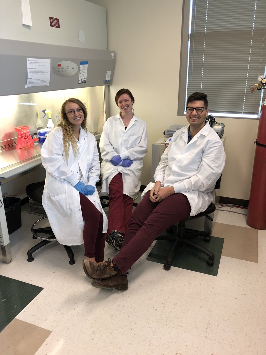 BioInnovateKSU's tweet photo. A diverse lab is a happy lab. 

A happy lab is a productive lab. 

A productive lab makes the world a better place. https://t.co/q6hqoNGWMO