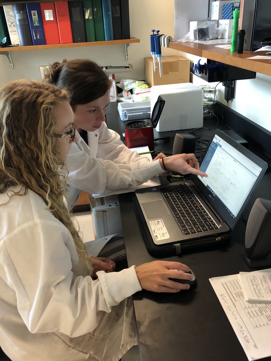 BioInnovateKSU's tweet photo. A diverse lab is a happy lab. 

A happy lab is a productive lab. 

A productive lab makes the world a better place. https://t.co/q6hqoNGWMO