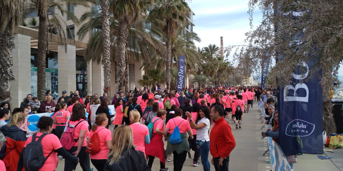 ChampionChip Catalunya tweet media