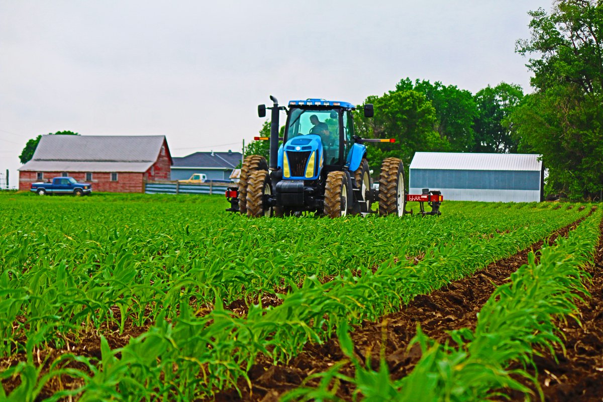 ProdigyFinServ's tweet photo. Prodigy Financial Services has options to fit your individual needs with a variety of flexible #farm and #ranchlandloans, commercial loan programs and application processes. Our staff work with you to find the #agricultural and #commercialloan program that best fits your needs. https://t.co/8JjAyjX7pc