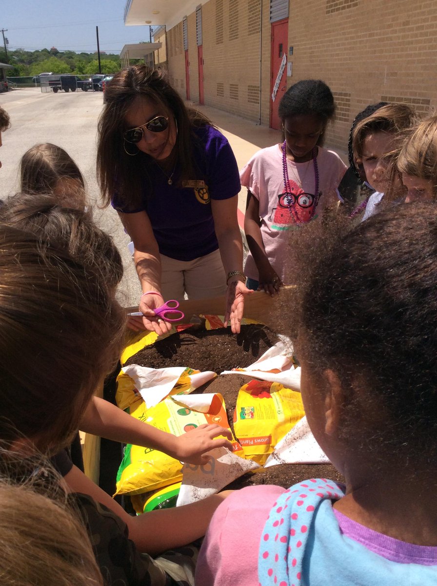 rfrancis05's tweet photo. Starting to plant in our garden--Thanks, Mrs. Boon, for sharing your gardening skills with our class!!  #FSHEROCKS https://t.co/3M5dbwRPDQ