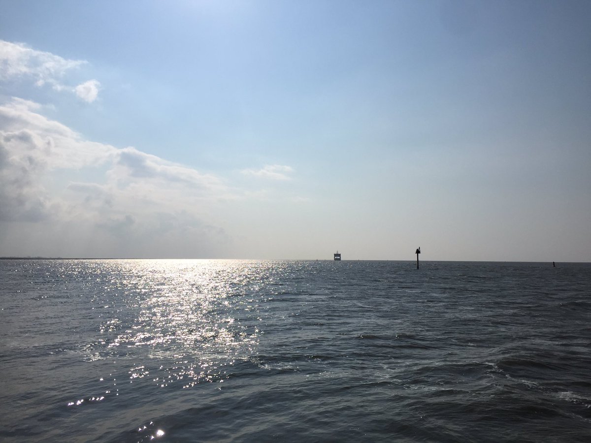 De mooie natuur is o zo dichtbij.... #sier #wadden #zeedijk