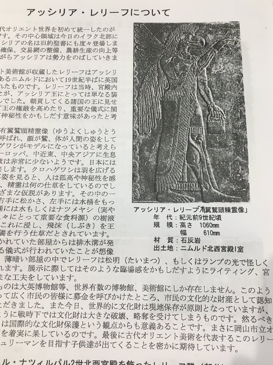 どろしー🧚 on X