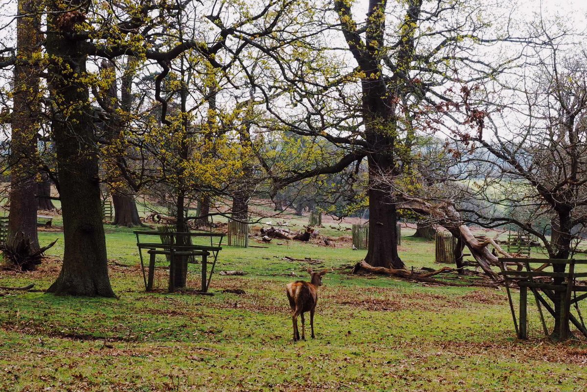 katya_adventure's tweet photo. Lovely jaunt today with @form_land !!
 
We walked around the @NTCalkeAbbey estate near Derby.

Landform is a network to promote &amp; support the work of female landscape photographers.

I met some fab women at today’s event 💙 https://t.co/dzUOKewDCy