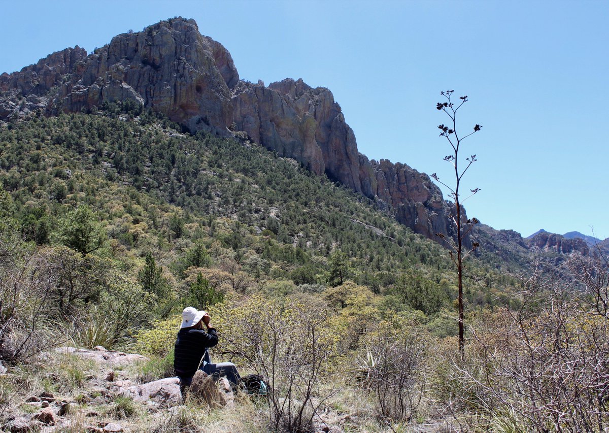 onroadaz's tweet image. Portal in far southeastern Arizona is at the doorstep of Cave Creek Canyon and the backside of Chiricahua National Monument. There's a lot of pretty country to explore out here. #amazingaz