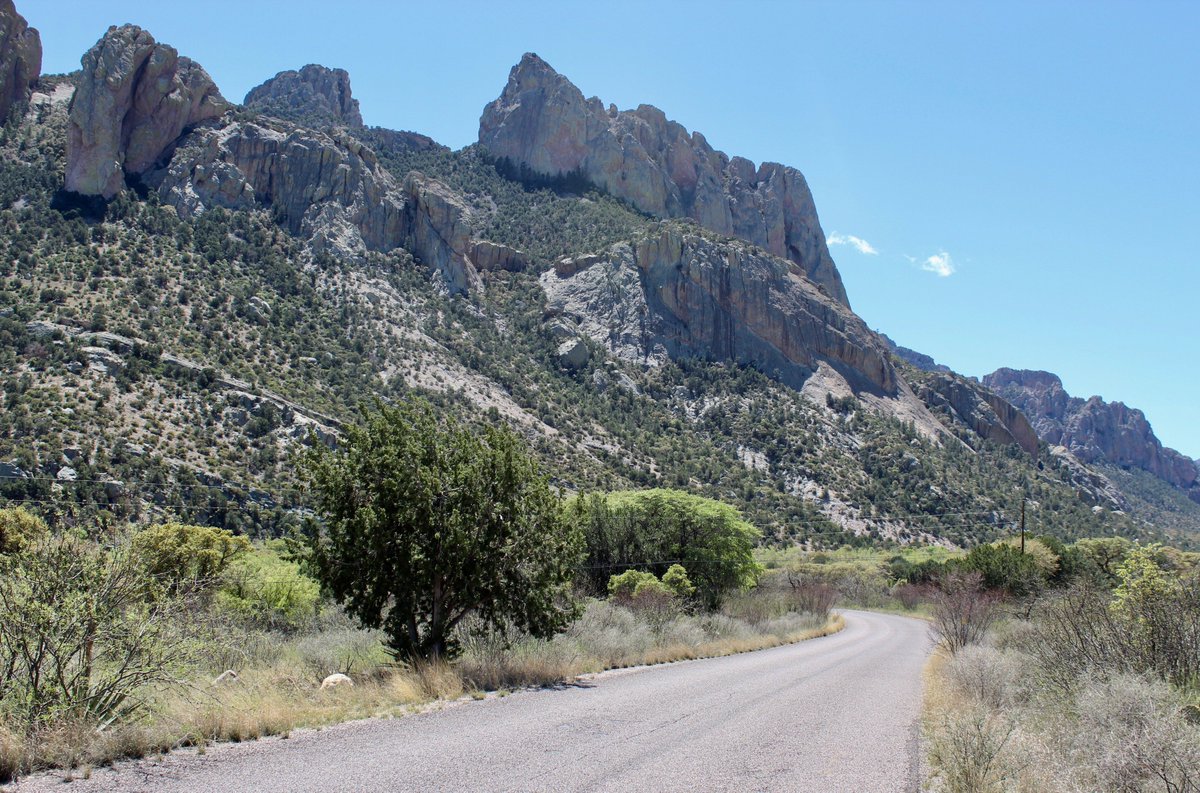 onroadaz's tweet image. Portal in far southeastern Arizona is at the doorstep of Cave Creek Canyon and the backside of Chiricahua National Monument. There's a lot of pretty country to explore out here. #amazingaz