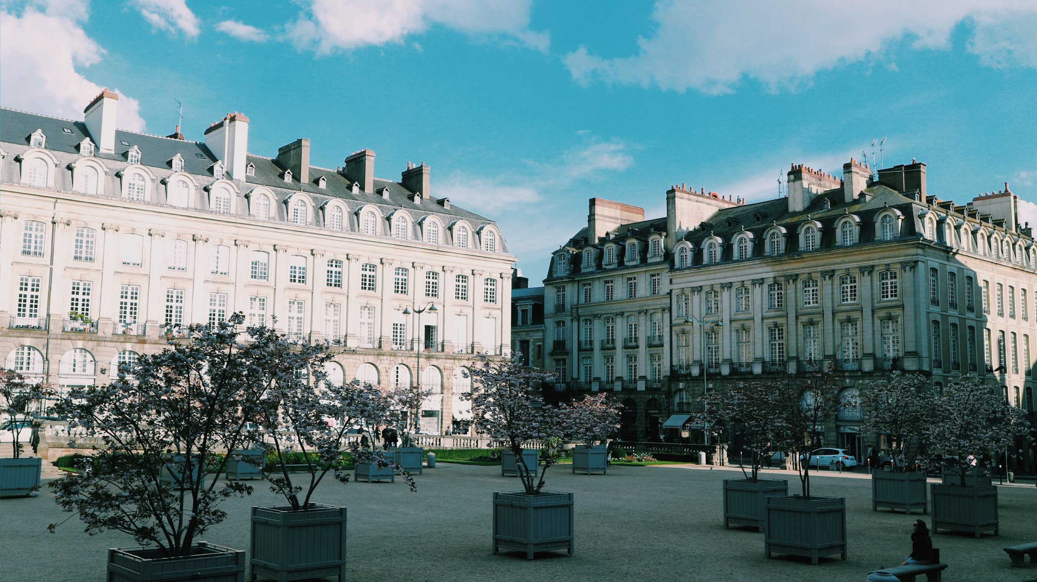 Akane 英語 フランス語のトリリンガルを目指す フランス のブリタニー地方にあるrennes レンヌ フランスにも日本の桜 が咲いていて綺麗です フランス生活 フランス語勉強中 フランス留学 T Co Tiztxjqiiw Twitter