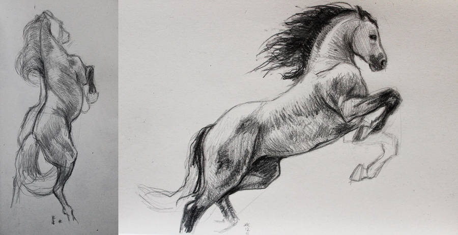 From my sketchbook; pencil on paper.
Studies for equine portraits

#horse #equine #equineportraits #rearinghorse #animals #animalart #horsesinmotion #animalsinmotion #sketchbook #traditionalart #katecain #kartagine #katarzynakostecka #Pencildrawing