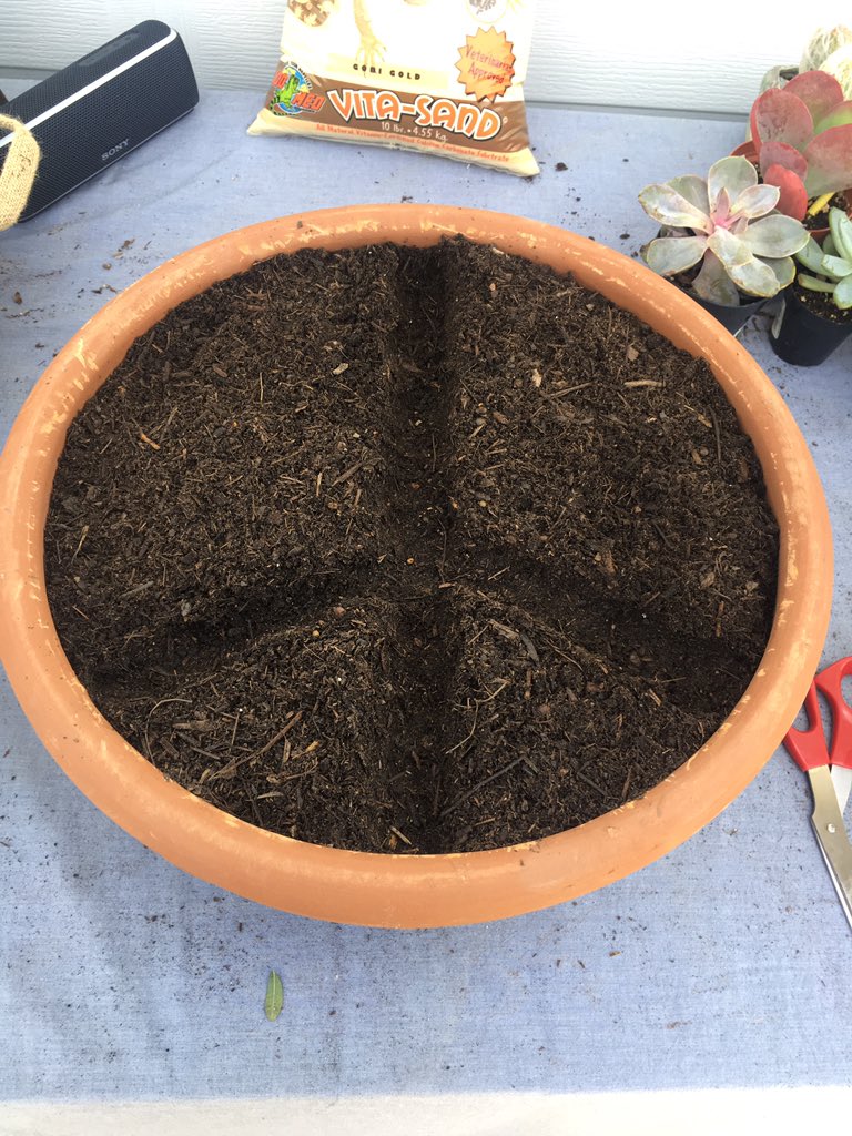 Luvthe1yourwith's tweet photo. Peace Love and Sunday Pot #freshcanvas #template @MImi_TheSound and every little thing is gonna be alright! https://t.co/92be61S31z