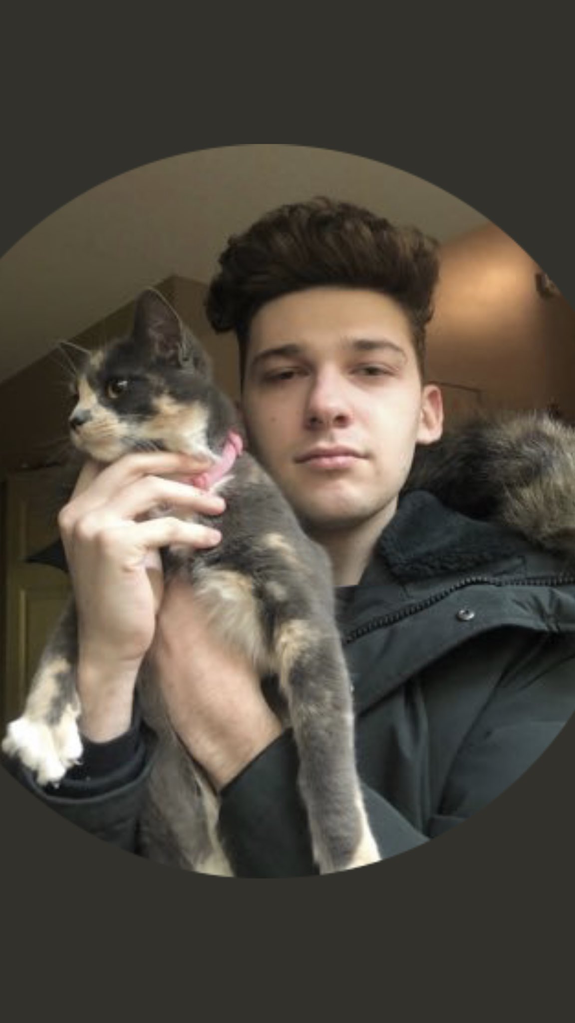 @Pokediger1 on Twitter: