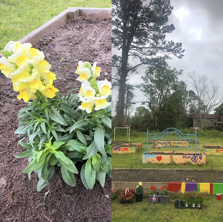 CapeFearCoC's tweet photo. We planted our #CoC flower today at the #HopeRecuperativeCare 2019 #Spring Fling. We can’t wait to see how the #garden turns out! Loved seeing our #friends, #neighbors and #partners out supporting the #community🌸🌼#wilmington #nc #dogoodfeelgood #homelessness #endinghomelessness https://t.co/UqCbdIrDe1